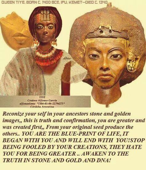 . Queen Tiye Ancient Egypt, Queen Tiye, African Kings, Bible Contradictions, African History Truths, Ancient Kemet, Aboriginal History, Afrofuturism Art, The Bible Movie