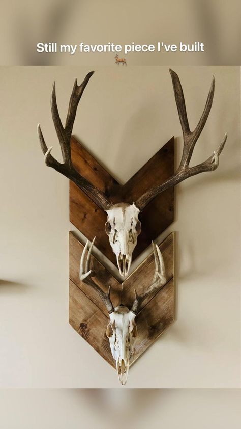 Deer Head Mount Ideas Display, European Deer Mount Ideas, European Mount Ideas, Deer Mount Ideas, Deer Heads Mount, European Mount, Deer Mounts, Deer Skulls, Deer Head