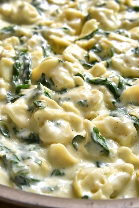 This Spinach Artichoke Tortellini is a pasta lover's dream! Rich, creamy, and loaded with cheesy goodness...this is one family dinner everyone will LOVE. And ready in just 20 minutes or less! Spinach And Artichoke Ravioli, Tortelinni Pasta Recipes, Tortellini Ideas, Tortellini Meals, Artichoke Tortellini, Lemon Tree Dwelling, Artichoke Pasta, Pasta Noodle Recipe, Tortellini Recipes