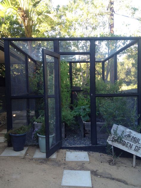 ideas Enclosed Garden Structures, Garden Enclosure Ideas, Growing Eggplant, Fenced Vegetable Garden, Mini Serre, Bush Garden, Edible Gardens, Vegetable Garden Raised Beds, Organic Vegetable Garden