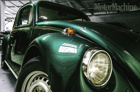 Car Vibes, Car Paint Colors, Green Beetle, Vw New Beetle, Vw Sedan, Bugs Life, Baja Bug, New Beetle, Car Paint