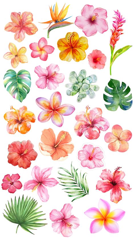 Summer Prints Wallpaper, Easy Flower Painting, Cute Summer Wallpapers, Graffiti Lettering Fonts, Wallpaper Iphone Summer, Textile Prints Design, Pottery Painting Designs, Iphone Wallpaper Photos, Floral Poster