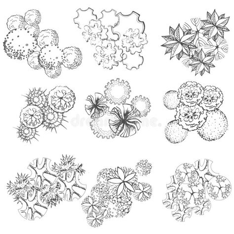 Flowers Top View, Free Landscape Design, Architecture Symbols, Landscape Architecture Plan, Landscape Design Drawings, Architecture Drawing Sketchbooks, Landscape Architecture Drawing, Architecture Drawing Plan, Interior Design Drawings