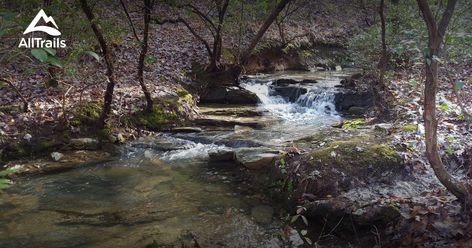 Best Trails in Talladega National Forest Talladega National Forest, Forest Trail, Trail Maps, Family Vacations, Family Trip, National Forest, Travel Bucket List, Nature Lovers, Bike Ride