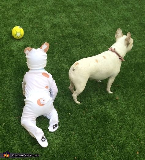 Kristin: My son (11 months) and his French Bulldog, Loki, are BFFs. Dog thinks she's a baby and vice versa. So they had to dress up as twins and it was... Best Diy Costumes, Bulldog Costume, Twin Costumes, Twin Halloween, Twin Halloween Costumes, Unique Costumes, Pet Day, Curly Girl Hairstyles, Bully Breeds