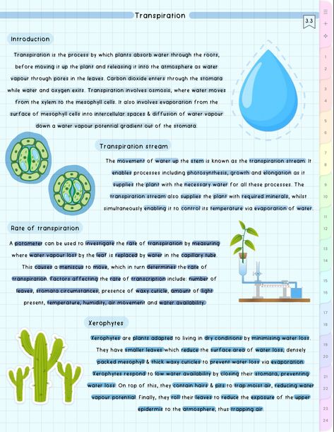 cute aesthetiv biology notes Gcse Biology, Biology Revision, Study Resources, Study Flashcards, Aesthetic School, Biology Notes, Cell Biology, 9th Grade, Class 8