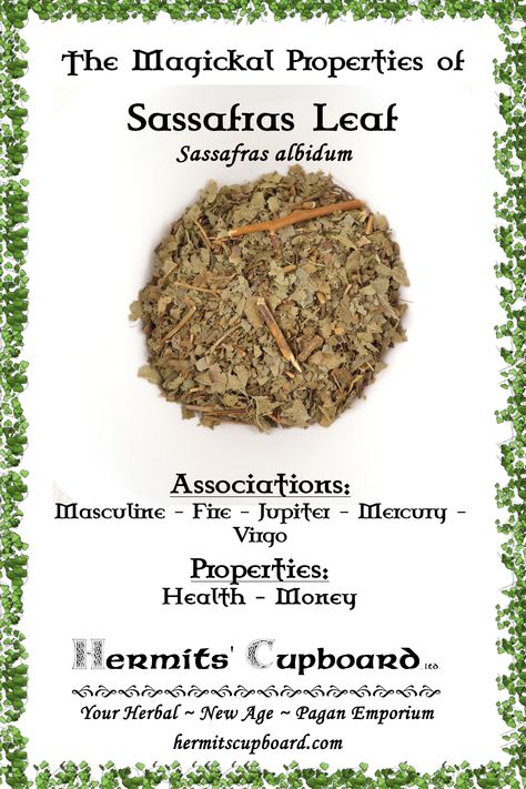 Sassafras Leaf, Witchy Plants, Herb Magick, Magick Herbs, Witchy Kitchen, Magickal Herbs, Nature Witch, Magic Herbs, Kitchen Witchery