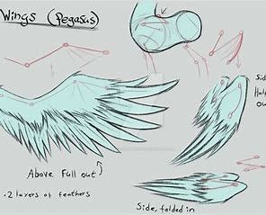 Wings Reference, Pegasus Wings, Wing Anatomy, Wings Sketch, Wings Drawing, Reference Sheet, Small Drawings, Unicorn Art, My Little Pony Drawing