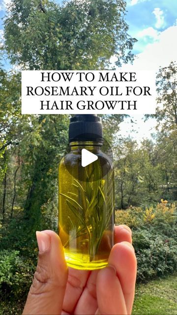 Resh Gala | Organic Gardener on Instagram: "Detailed Instructions on HOW TO MAKE ROSEMARY HAIR OIL for Hair Growth:👇….. If you’re growing rosemary in your garden, then why not use this herb to make your own Rosemary Hair Oil? It is excellent for promoting hair growth, has anti-inflammatory properties and is 100% natural. Here are the STEP-by-STEP instructions on how to do it: 1. Harvest fresh Rosemary sprigs from the garden or purchase from grocery store. 2. Wash the rosemary to remove any d Rose Marry Oil For Hair, Make Rosemary Oil Hair Growth, Fresh Rosemary Uses Hair Growth, How To Grow Rosemary From Seed, Coconut Oil And Rosemary Oil Hair Growth, Rosemary Oil Recipe Hair Growth, Rosemary Castor Oil Hair Growth Recipe, Rosemary And Olive Oil For Hair, How To Make Rosemary Oil For Hair Growth