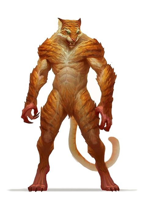 Lycanthrope Weretiger - Pathfinder PFRPG DND D&D 3.5 5E 5th ed d20 fantasy Dnd Weretiger, Dnd Leonin Character Art, Lycanthrope Dnd, Dnd Lycan, Dnd Lycanthrope, Rakshasa Dnd, Leonin D&d, Beastman Fantasy Art, Weretiger Art