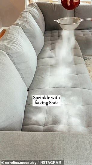 Cleaning Couch With Baking Soda, Natural Couch Cleaner, Puke Smell Out Of Couch, Cleaning Couch Pillows, How Do You Clean Microfiber Couches, Diy Microfiber Couch Cleaner, How To Get Throw Up Smell Out Of Couch, Spot Clean Couch, Natural Couch Deodorizer