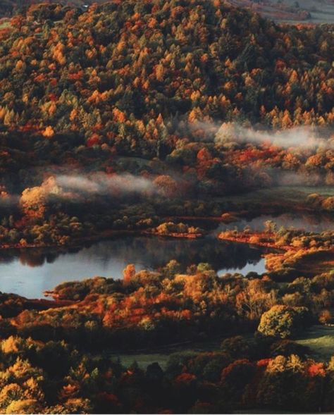 Misty Mountains, Autumn Foliage, Autumn Scenery, Foto Art, Fall Pictures, Autumn Landscape, Autumn Colors, Autumn Cozy, Cloud 9