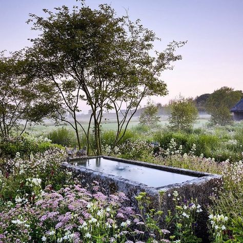 Garden Water Feature, Water Walls, Aquatic Plants, Water Feature, Small Gardens, Garden Spaces, Water Garden, Small Garden, Landscape Architecture