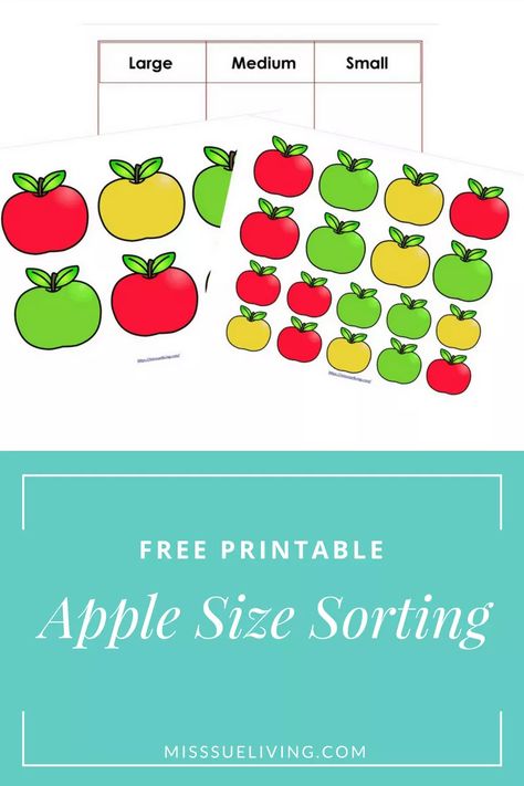 Sort By Size, Apple Lessons, Size Sorting, Sorting Colors, Apple Unit, Apple Theme, Pre K Activities, Homeschool Schedule, Homeschool Kindergarten