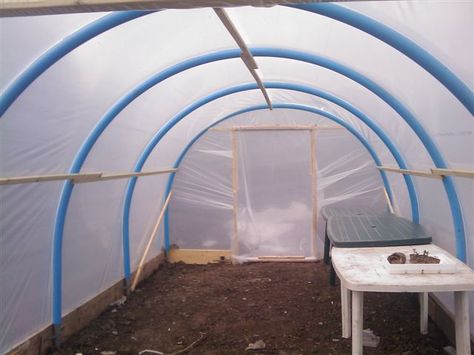 polytunnel diy Diy Poly Tunnel, Diy Polytunnel, Allotment Design, Veg Growing, Octagon Picnic Table, Poly Tunnel, High Tunnel, Geodesic Dome Greenhouse, Tunnel Greenhouse