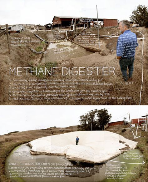 Methane Digester to mitigate the massive methane emissions from cows (apparently the #1 source in California!). Grey Water System, Water Catchment, Environmental Ethics, Sustainability Projects, Pop Up Art, Sustainable Agriculture, Edible Landscaping, Food System, Environmental Issues