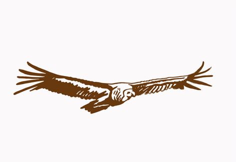 Vulture Design, Vulture Flying, Vulture Drawing, Cool Little Tattoos, Graphical Illustration, Sepia Background, Illustration Bird, Little Tattoos, Tattoo Drawings