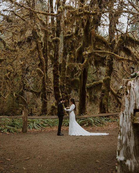 On one moody day in April, we made our way out to the Olympic Peninsula to celebrate their love. We knew that wedding day one needed to be on “their date” but they also really, really wanted their closest loved ones to celebrate with them. So we did what any sane people should do and we decide to do both. We can in fact have our cake and eat it too! Can’t wait to celebrate C + A a second time in July! ✨ Olympic Peninsula Elopement | Washington Wedding | Washington Wedding Photographer Washington Wedding, Olympic Peninsula, Washington Weddings, A A, Need This, Elopement, Wedding Photographer, Washington, First Love