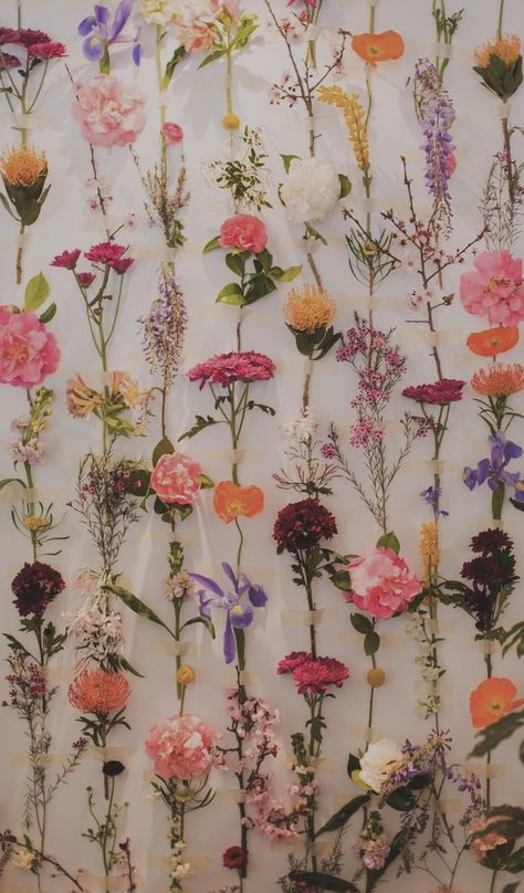 Trendy Flowers Wallpaper, Cute Esthetician Wallpaper, Pink September Wallpaper, Floral Asethic Wallpaper, Wildflower Wallpaper Iphone, Wildflower Aesthetic Wallpaper, September Lockscreen, September Aesthetic Wallpaper, Floral Aesthetic Wallpaper