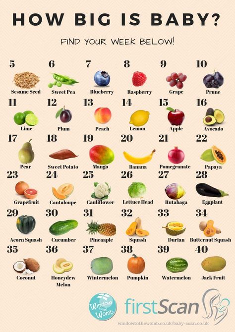 Baby Fruit Size, Pregnancy Fruit, Baby Size By Week, Pregnancy Preparation, Healthy Pregnancy Food, Baby Weeks, Fruit Baby, Pregnancy Facts, Pregnancy Help