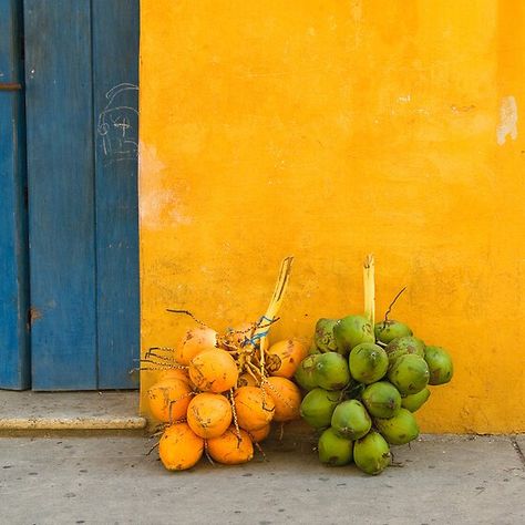 Fresh coconuts in the street of Cartagena, Colombia • Millions of unique designs by independent artists. Find your thing. Julia Vibes, Brazil Core, Island Aesthetic, Foodie Photography, Vibe Tribe, Batik Art, Coastal Granddaughter, Shop Layout, Cruise Destinations