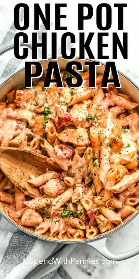 One Pot Pasta Meals, One Pot Chicken Pasta, Pasta Alfredo Receta, Pasta A La Carbonara, Pasta With Chicken, Resep Pasta, Cheese And Tomato, Recipes Savory, Pasta Meals