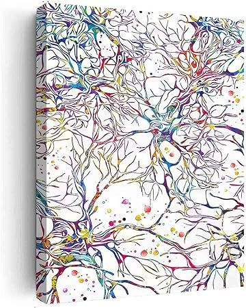 Amazon.com: Country Canvas Art,Neural Network Watercolor Print Abstract Medical Art Science Neurology Brain Cell Psychiatry Therapy Art Doctor Poster Neuron Synapses- 8 in x12 in-Ready to hang: Posters & Prints Abstract Science Art, Brain Abstract Art, Neurotransmitters Art, Synapse Neurons Art, Medical Art Painting, Psychiatry Art, Neuron Tattoo, Neurological Art, Neuron Art