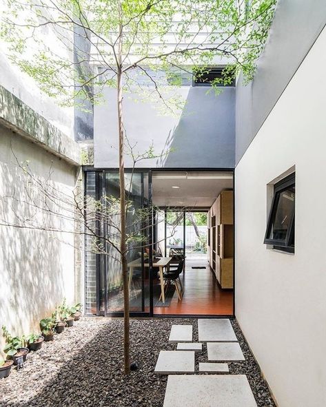 Inner Courtyard Design, Glass Courtyard, Narrow Courtyard, House Courtyard, Tropical House Design, Urban Housing, Zen Gardens, Compact House, Courtyard Design