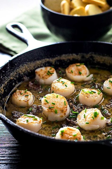 Scallops With Bacon, Bacon Cream Sauce, Bacon Sauce, Pan Seared Scallops, Best Meatballs, Shrimp And Broccoli, Seared Scallops, Scallop Recipes, Cheesy Bacon