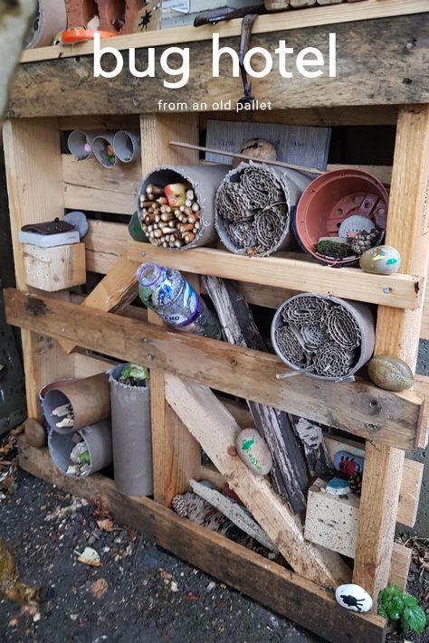 Bug Hotel Pallet, Forest School Activities, Early Years Classroom, Bug Hotel, Mud Kitchen, Old Pallets, Early Years, Outdoor Classroom, Paint Rock