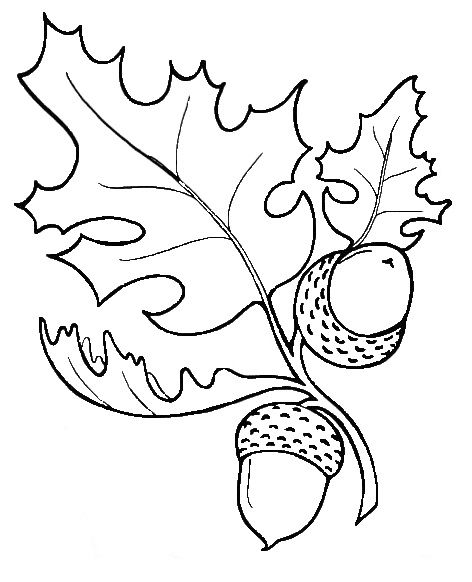 Leaves Coloring, Leaves Sketch, Wood Burning Patterns Stencil, Fall Drawings, Leaf Template, Wood Burning Crafts, Coloring Page Ideas, Fall Coloring Pages, Soyut Sanat Tabloları