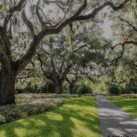 Georgetown South Carolina, South Carolina Hikes, Hammock Coast Sc, Congaree National Park South Carolina, Brookgreen Gardens South Carolina, Georgetown Sc, John’s Island South Carolina, Brook Green, Brookgreen Gardens