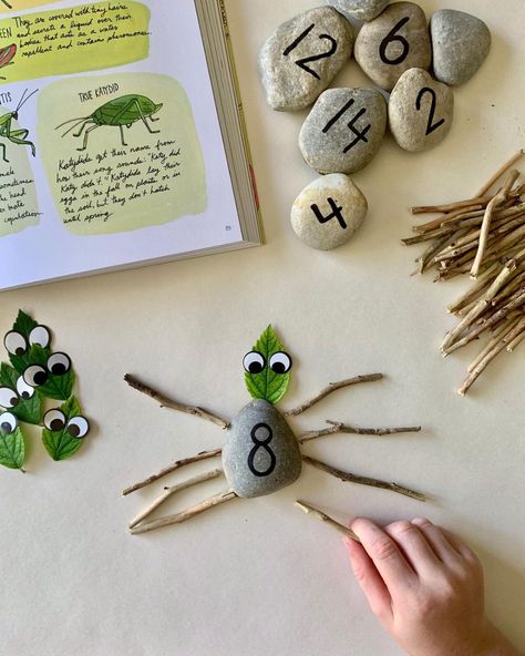 #natureanatomy hashtag on Instagram • Photos and Videos Symmetry In Nature, Nature Based Classroom, Build A Bug, Nature Based Preschool, Numbers Up To 20, Origami Paper Flowers, Bug Activities, Nature Journals, Insects Preschool