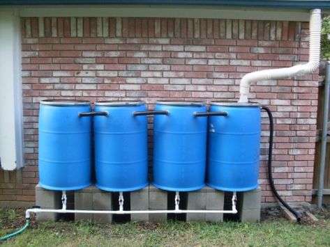 Rainwater Harvesting Solutions at Your Doorstep! Rain Barrel System, Water Collection System, Rain Harvesting, Koti Diy, Acre Homestead, Water Barrel, Top Diy, Rainwater Harvesting, Water Collection