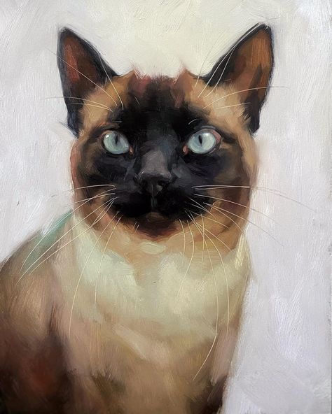 Siamese Cats Paintings, Siamese Cat Painting, Jennifer Gennari, Pet Portrait Paintings, Cat Portrait Painting, Animals Painting, Cat Paintings, Portraits Art, Söt Katt