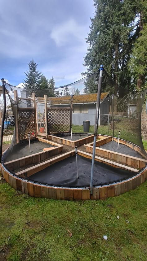 Repurpose Trampoline Ideas, Backyard Labrynth, Repurposed Trampoline Ideas, Trampoline Garden Ideas, Trampoline Frame Repurpose, Trampoline Repurpose Ideas, Diy Easy Backyard Ideas, Old Trampoline Ideas, Watering Garden Ideas