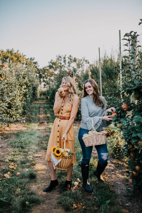 Fruit Picking Outfit Summer, Apple Picking Photoshoot Friends, Apple Orchard Photoshoot Friends, Peach Picking Outfit, Apple Picking Photoshoot, Apple Picking Pictures, Apple Orchard Photoshoot, Apple Orchard Pictures, Apple Picking Photos