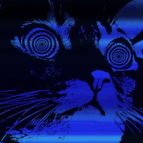 Blue Cat Pfp, Iconic Wallpaper Iphone, Wallpaper Themes Iphone, Black And Blue Wallpaper, Cybercore Aesthetic, Blue Aesthetic Dark, Wallpaper Themes, Everything Is Blue, Cat Pfp