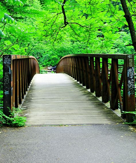 Foot Bridge Wissahickon Park Nature Baground Images, Creative Backdrops, Photoshop Backgrounds Backdrops, Nature Background Images, Green Screen Background Images, Beach Background Images, Blur Photo Background, Love Background Images, Dslr Background Images