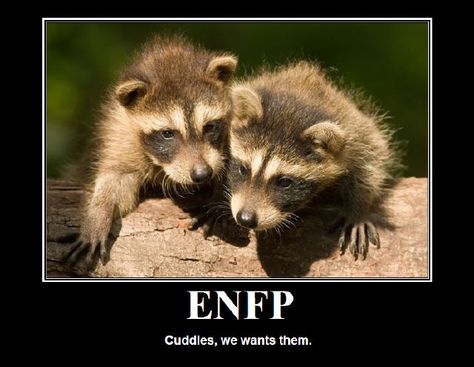 Give me all your cuddles. Enfp Boyfriend, Enfp Humor, Enfp And Infj, Personalidad Enfp, Intj Enfp, Jessica Walsh, Meyers Briggs, Enfp Personality, Enfp T