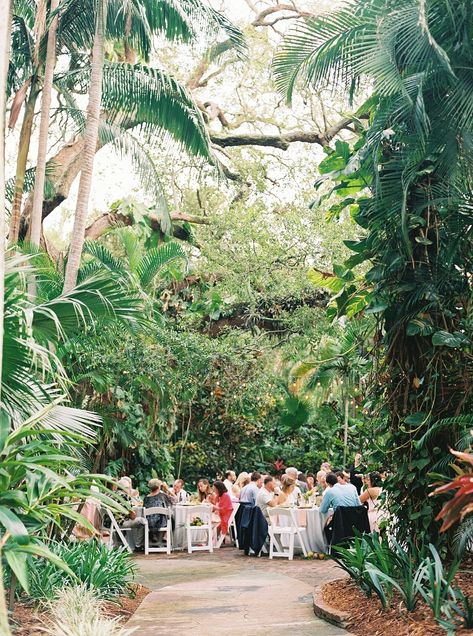 Sunken gardens wedding reception, sunken gardens wedding, downtown st Pete wedding, outdoor wedding receptions, best Florida wedding venues Sunken Gardens Wedding, Wedding Trellis, Tree Backdrop, Sunken Gardens, Tampa Wedding Venue, Southern Wedding Inspiration, Atlanta Botanical Garden, Wedding Tree, Wedding Ceremony Arch