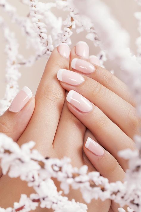 nailfix. – – Gold Coast’s First Luxury Nail Bar Lemon Juice For Skin, Manicure Pictures, Salon Gold, Massage For Women, Rice Mask, French Manicures, Nail Salon Design, Beauty Posters, Nail Room