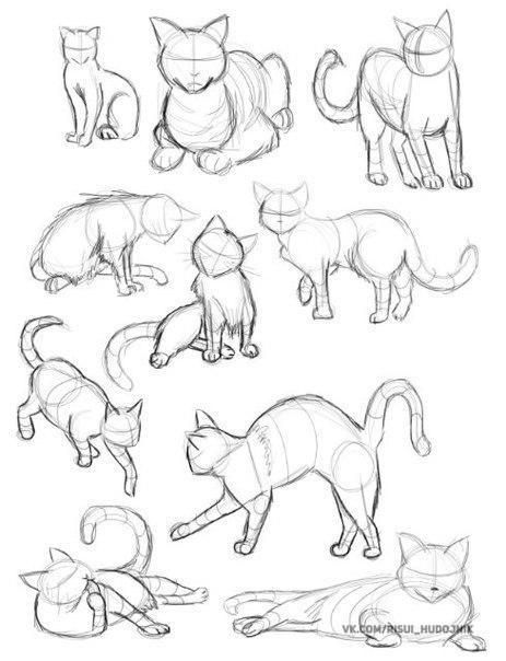 Poses Drawings, Sketch Drawing Ideas, Animals Step By Step, Animal Sketch, Cat Drawing Tutorial, Cats Art Drawing, Cat Anatomy, Istoria Artei, Animal Drawings Sketches