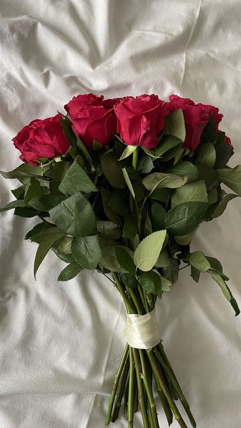 Rose Flower Aesthetic Red, Luxury Flower Bouquets, Bloom Where Youre Planted, Boquette Flowers, Flowers Bouquet Gift, Nothing But Flowers, Flower Therapy, Beautiful Bouquet Of Flowers, Luxury Flowers