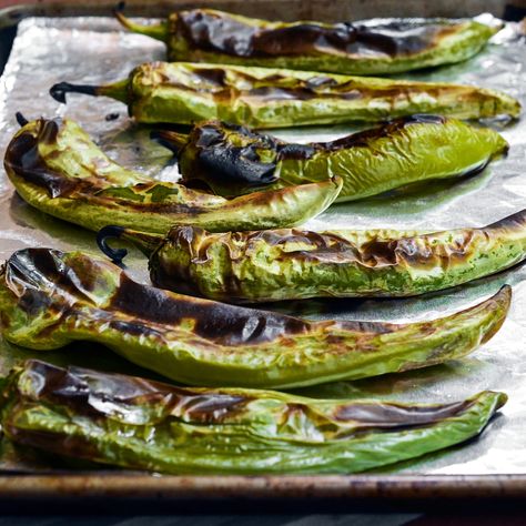 How To Roast and Freeze Green Chiles — Cooking Lessons from The Kitchn Hatch Chili Recipes, Hatch Peppers, Hatch Chile Recipes, Hatch Green Chili, Green Chile Recipes, Green Chili Recipes, Hatch Chili, Chile Recipes, Hatch Green Chile