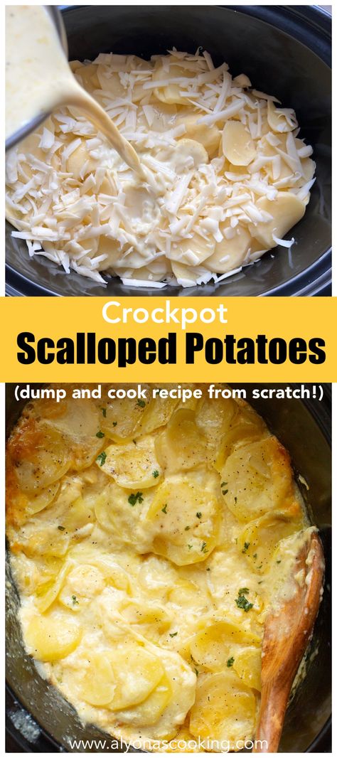 cheesy scalloped potatoes in a creamy sauce with mustard Best Crockpot Scalloped Potatoes, Augratin Potatoes Recipe Crockpot, Slow Cooker Scalloped Potatoes No Cheese, Crockpot Cheesy Potatoes Hashbrowns, Crock Pot Scalloped Potatoes Slow Cooker, Slow Cooker Scalloped Potatoes Easy, Crockpot Side Recipes, Crockpot Veggies Side, Crockpot Scalloped Potatoes Easy