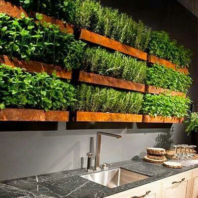 Vertical Vegetable Gardens, Herb Wall, Herb Garden In Kitchen, Industrial Kitchen Design, Decor Front Porch, Garden Decor Diy, Kitchen Herbs, Indoor Herb Garden, Beach Hacks