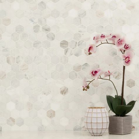 MSI Arabescato Carrara Hexagon 12 in. x 11.75 in. Marble Mosaic Wall and Floor Tile & Reviews - Wayfair Canada White Hexagon Tile, White Hexagon Tiles, Adhesive Backsplash, Tile Countertop, Hexagon Tile, Countertop Surfaces, Honed Marble, Marble Mosaic Tiles, Mosaic Wall Tiles