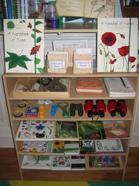 Nature Shelf, Learning Room, Botany Books, Homeschool Nature Study, Montessori Science, Nature School, School Garden, Winter Nature, Nature Table