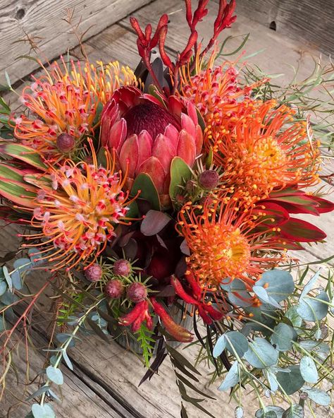 Orange Australian Native Flowers, Protea Floral Arrangements, Australian Native Flower Arrangements, Leucospermum Bouquet, Fynbos Wedding, Protea Arrangements, Sunset Bouquet, Native Bouquet, Protea Plant